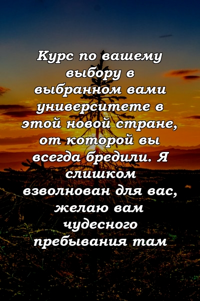 Курс по вашему выбору в выбранном вами университете в этой новой стране, от которой вы всегда бредили. Я слишком взволнован для вас, желаю вам чудесного пребывания там