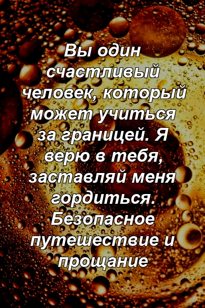 Вы один счастливый человек, который может учиться за границей. Я верю в тебя, заставляй меня гордиться. Безопасное путешествие и прощание