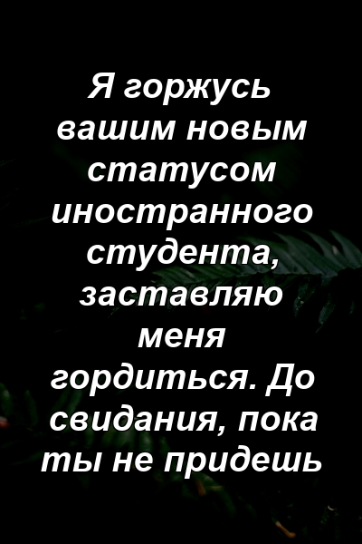 Я горжусь вашим новым статусом иностранного студента, заставляю меня гордиться. До свидания, пока ты не придешь