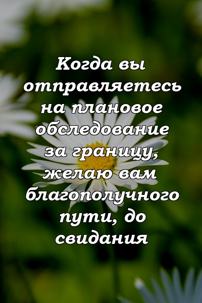 Когда вы отправляетесь на плановое обследование за границу, желаю вам благополучного пути, до свидания