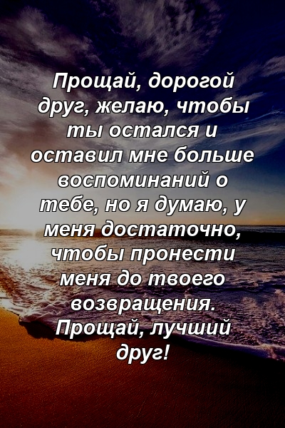 Прощай, дорогой друг, желаю, чтобы ты остался и оставил мне больше воспоминаний о тебе, но я думаю, у меня достаточно, чтобы пронести меня до твоего возвращения. Прощай, лучший друг!