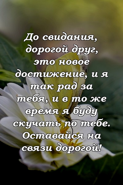 До свидания, дорогой друг, это новое достижение, и я так рад за тебя, и в то же время я буду скучать по тебе. Оставайся на связи дорогой!