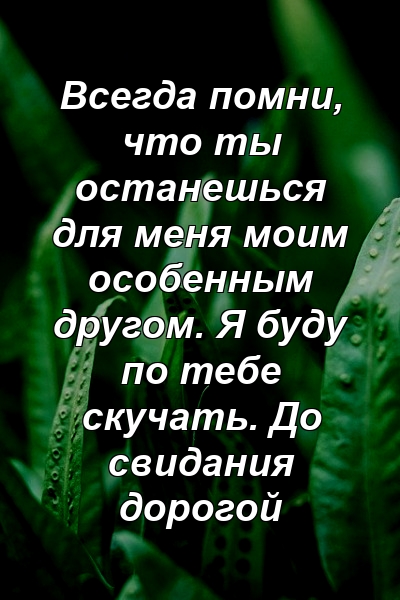 Всегда помни, что ты останешься для меня моим особенным другом. Я буду по тебе скучать. До свидания дорогой