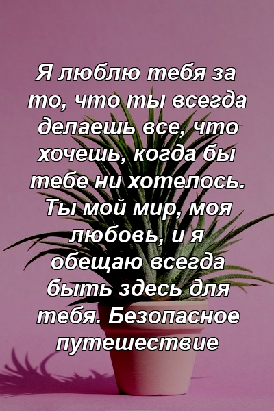 Я люблю тебя за то, что ты всегда делаешь все, что хочешь, когда бы тебе ни хотелось. Ты мой мир, моя любовь, и я обещаю всегда быть здесь для тебя. Безопасное путешествие