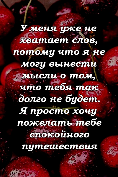 У меня уже не хватает слов, потому что я не могу вынести мысли о том, что тебя так долго не будет. Я просто хочу пожелать тебе спокойного путешествия