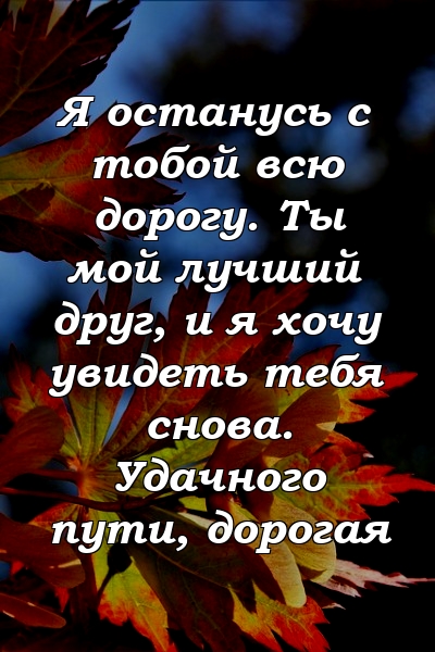 Я останусь с тобой всю дорогу. Ты мой лучший друг, и я хочу увидеть тебя снова. Удачного пути, дорогая