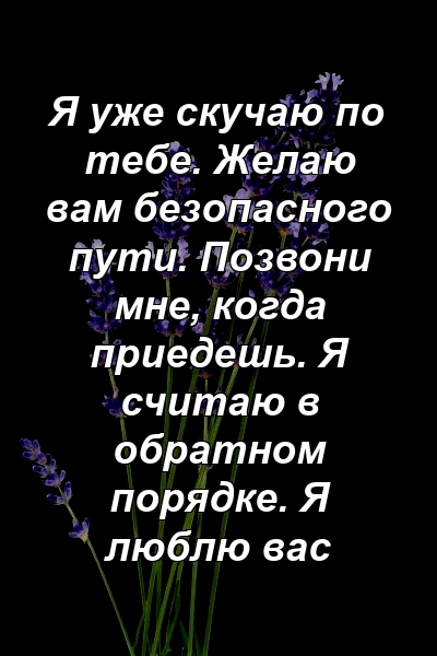 Я уже скучаю по тебе. Желаю вам безопасного пути. Позвони мне, когда приедешь. Я считаю в обратном порядке. Я люблю вас