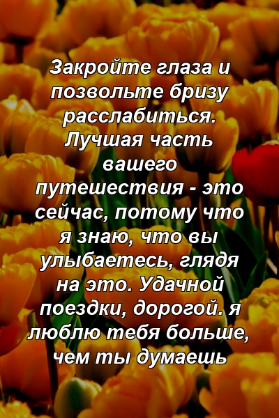 Закройте глаза и позвольте бризу расслабиться. Лучшая часть вашего путешествия - это сейчас, потому что я знаю, что вы улыбаетесь, глядя на это. Удачной поездки, дорогой. я люблю тебя больше, чем ты думаешь