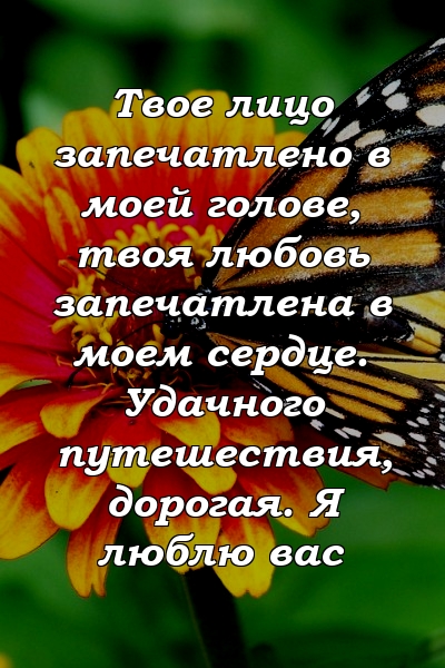 Твое лицо запечатлено в моей голове, твоя любовь запечатлена в моем сердце. Удачного путешествия, дорогая. Я люблю вас