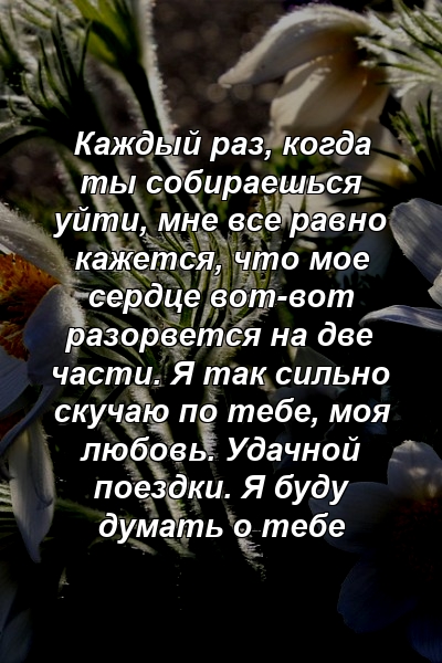 Каждый раз, когда ты собираешься уйти, мне все равно кажется, что мое сердце вот-вот разорвется на две части. Я так сильно скучаю по тебе, моя любовь. Удачной поездки. Я буду думать о тебе