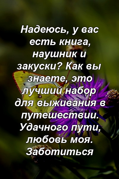 Надеюсь, у вас есть книга, наушник и закуски? Как вы знаете, это лучший набор для выживания в путешествии. Удачного пути, любовь моя. Заботиться