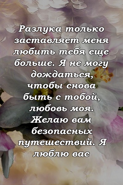 Разлука только заставляет меня любить тебя еще больше. Я не могу дождаться, чтобы снова быть с тобой, любовь моя. Желаю вам безопасных путешествий. Я люблю вас