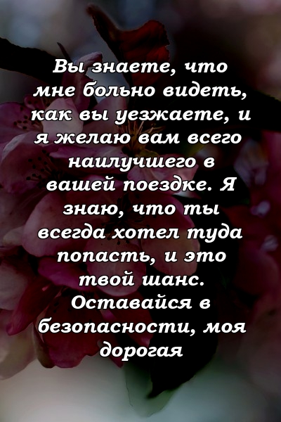 Вы знаете, что мне больно видеть, как вы уезжаете, и я желаю вам всего наилучшего в вашей поездке. Я знаю, что ты всегда хотел туда попасть, и это твой шанс. Оставайся в безопасности, моя дорогая