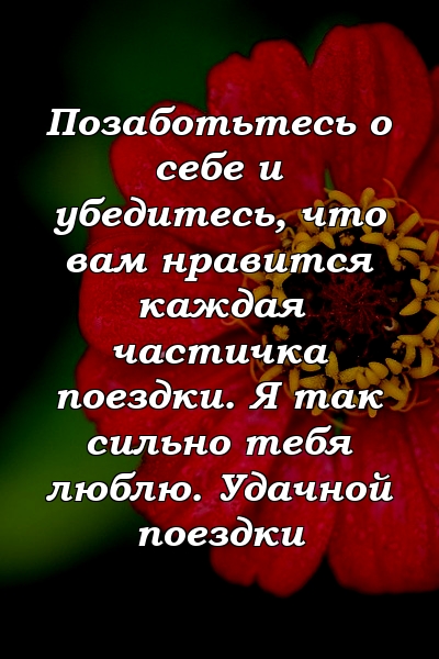 Позаботьтесь о себе и убедитесь, что вам нравится каждая частичка поездки. Я так сильно тебя люблю. Удачной поездки