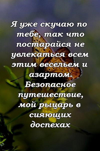 Я уже скучаю по тебе, так что постарайся не увлекаться всем этим весельем и азартом. Безопасное путешествие, мой рыцарь в сияющих доспехах