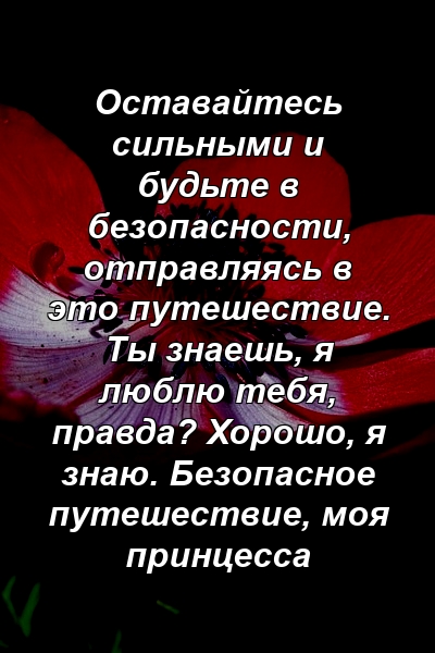 Оставайтесь сильными и будьте в безопасности, отправляясь в это путешествие. Ты знаешь, я люблю тебя, правда? Хорошо, я знаю. Безопасное путешествие, моя принцесса