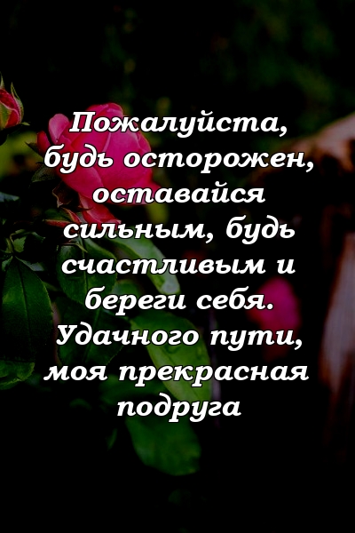 Пожалуйста, будь осторожен, оставайся сильным, будь счастливым и береги себя. Удачного пути, моя прекрасная подруга