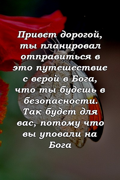 Привет дорогой, ты планировал отправиться в это путешествие с верой в Бога, что ты будешь в безопасности. Так будет для вас, потому что вы уповали на Бога