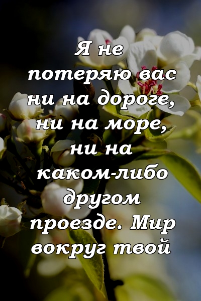 Я не потеряю вас ни на дороге, ни на море, ни на каком-либо другом проезде. Мир вокруг твой