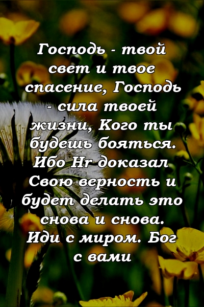 Господь - твой свет и твое спасение, Господь - сила твоей жизни, Кого ты будешь бояться. Ибо Hr доказал Свою верность и будет делать это снова и снова. Иди с миром. Бог с вами