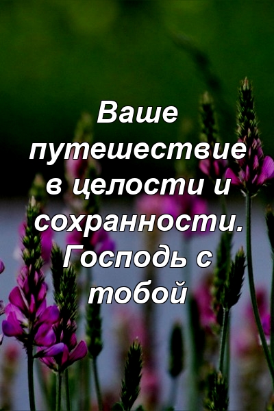 Ваше путешествие в целости и сохранности. Господь с тобой