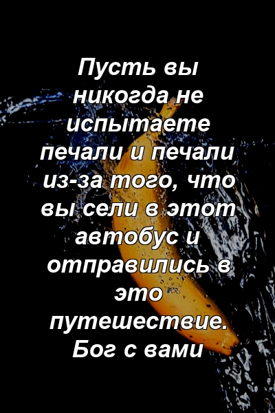 Пусть вы никогда не испытаете печали и печали из-за того, что вы сели в этот автобус и отправились в это путешествие. Бог с вами