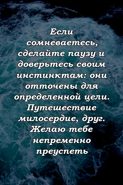 Если сомневаетесь, сделайте паузу и доверьтесь своим инстинктам: они отточены для определенной цели. Путешествие милосердие, друг. Желаю тебе непременно преуспеть