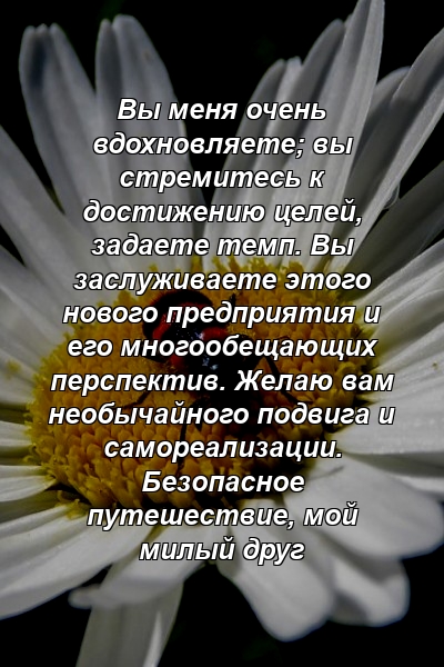 Вы меня очень вдохновляете; вы стремитесь к достижению целей, задаете темп. Вы заслуживаете этого нового предприятия и его многообещающих перспектив. Желаю вам необычайного подвига и самореализации. Безопасное путешествие, мой милый друг