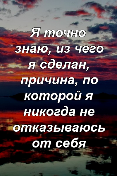 Я точно знаю, из чего я сделан, причина, по которой я никогда не отказываюсь от себя