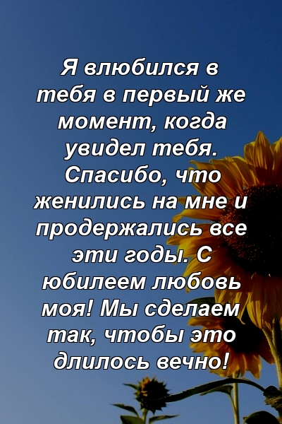 Я влюбился в тебя в первый же момент, когда увидел тебя. Спасибо, что женились на мне и продержались все эти годы. С юбилеем любовь моя! Мы сделаем так, чтобы это длилось вечно!