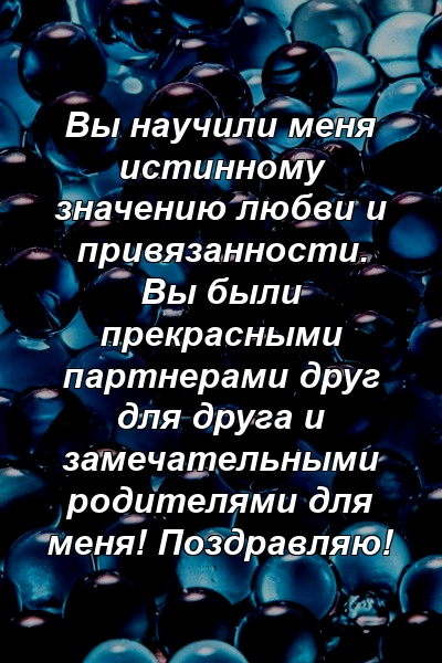 Вы научили меня истинному значению любви и привязанности. Вы были прекрасными партнерами друг для друга и замечательными родителями для меня! Поздравляю!