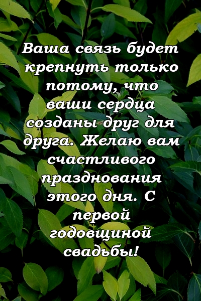 Ваша связь будет крепнуть только потому, что ваши сердца созданы друг для друга. Желаю вам счастливого празднования этого дня. С первой годовщиной свадьбы!