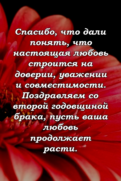 Спасибо, что дали понять, что настоящая любовь строится на доверии, уважении и совместимости. Поздравляем со второй годовщиной брака, пусть ваша любовь продолжает расти.