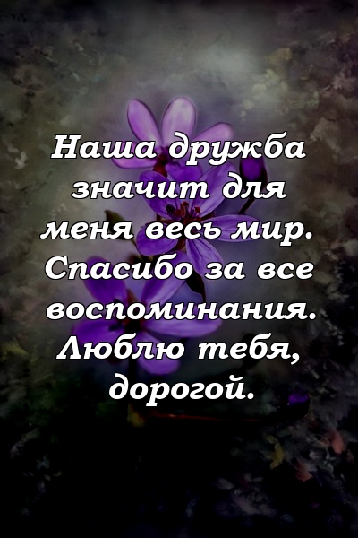 Наша дружба значит для меня весь мир. Спасибо за все воспоминания. Люблю тебя, дорогой.