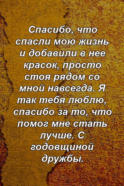 Спасибо, что спасли мою жизнь и добавили в нее красок, просто стоя рядом со мной навсегда. Я так тебя люблю, спасибо за то, что помог мне стать лучше. С годовщиной дружбы.