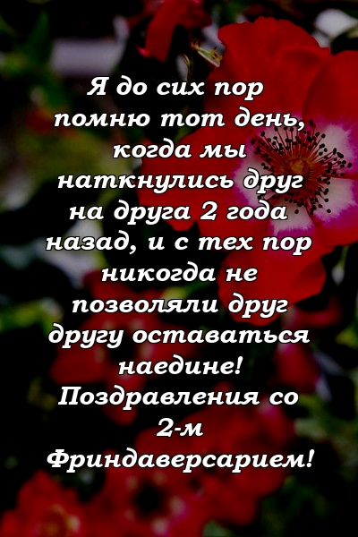 Я до сих пор помню тот день, когда мы наткнулись друг на друга 2 года назад, и с тех пор никогда не позволяли друг другу оставаться наедине! Поздравления со 2-м Фриндаверсарием!