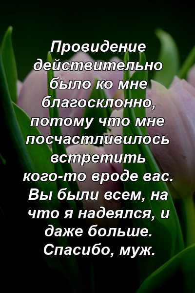 Провидение действительно было ко мне благосклонно, потому что мне посчастливилось встретить кого-то вроде вас. Вы были всем, на что я надеялся, и даже больше. Спасибо, муж.