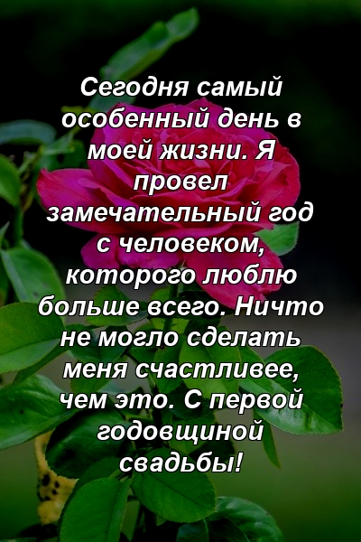 Сегодня самый особенный день в моей жизни. Я провел замечательный год с человеком, которого люблю больше всего. Ничто не могло сделать меня счастливее, чем это. С первой годовщиной свадьбы!