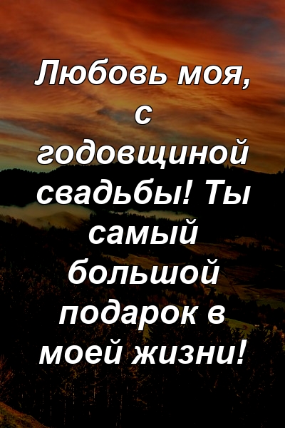 Любовь моя, с годовщиной свадьбы! Ты самый большой подарок в моей жизни!