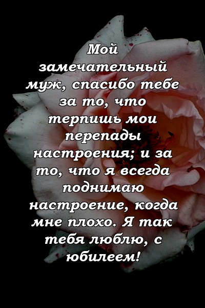 Мой замечательный муж, спасибо тебе за то, что терпишь мои перепады настроения; и за то, что я всегда поднимаю настроение, когда мне плохо. Я так тебя люблю, с юбилеем!