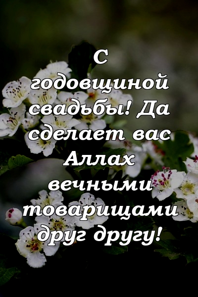 С годовщиной свадьбы! Да сделает вас Аллах вечными товарищами друг другу!