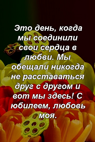 Это день, когда мы соединили свои сердца в любви. Мы обещали никогда не расставаться друг с другом и вот мы здесь! С юбилеем, любовь моя.