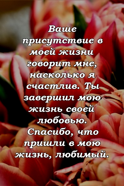 Ваше присутствие в моей жизни говорит мне, насколько я счастлив. Ты завершил мою жизнь своей любовью. Спасибо, что пришли в мою жизнь, любимый.