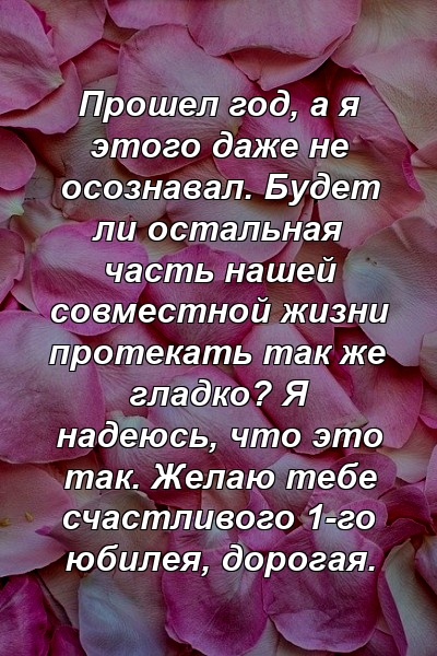 Прошел год, а я этого даже не осознавал. Будет ли остальная часть нашей совместной жизни протекать так же гладко? Я надеюсь, что это так. Желаю тебе счастливого 1-го юбилея, дорогая.