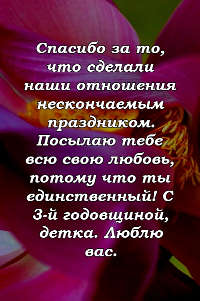 Спасибо за то, что сделали наши отношения нескончаемым праздником. Посылаю тебе всю свою любовь, потому что ты единственный! С 3-й годовщиной, детка. Люблю вас.