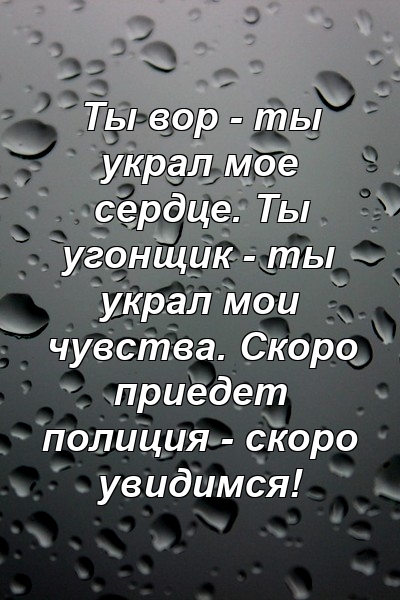 Ты вор - ты украл мое сердце. Ты угонщик - ты украл мои чувства. Скоро приедет полиция - скоро увидимся!