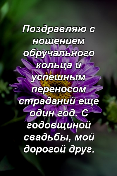 Поздравляю с ношением обручального кольца и успешным переносом страданий еще один год. С годовщиной свадьбы, мой дорогой друг.