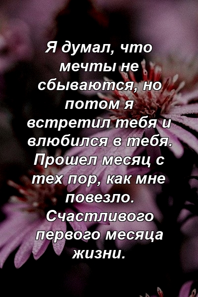 Я думал, что мечты не сбываются, но потом я встретил тебя и влюбился в тебя. Прошел месяц с тех пор, как мне повезло. Счастливого первого месяца жизни.