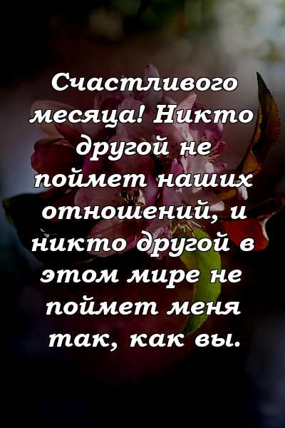 Счастливого месяца! Никто другой не поймет наших отношений, и никто другой в этом мире не поймет меня так, как вы.