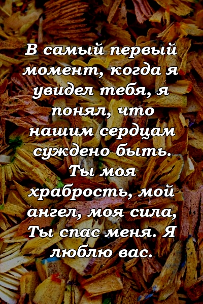 В самый первый момент, когда я увидел тебя, я понял, что нашим сердцам суждено быть. Ты моя храбрость, мой ангел, моя сила, Ты спас меня. Я люблю вас.